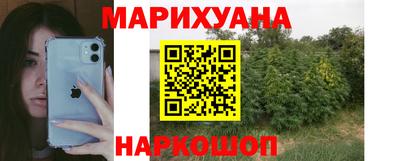 мдпв Новозыбков