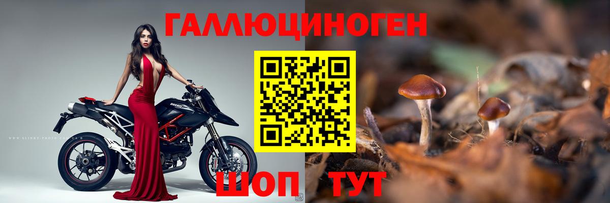 Реутов  купить   Вход с VPN  Галлюциногенные грибы мицелий 